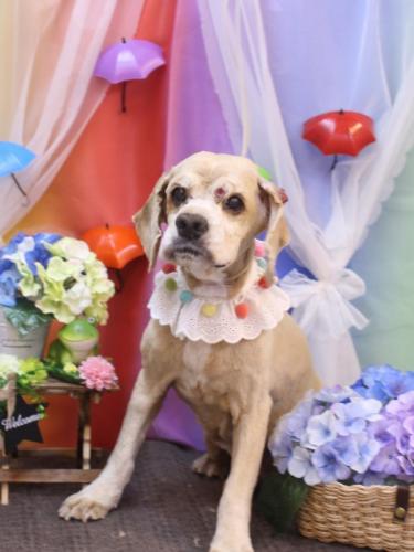 20230610れおんくん